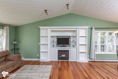 Vaulted Living Room