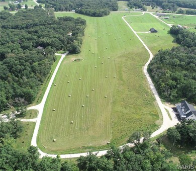 Lot 21 Red Oak Rd, Round Grove Township, MO 63454 - photo 4