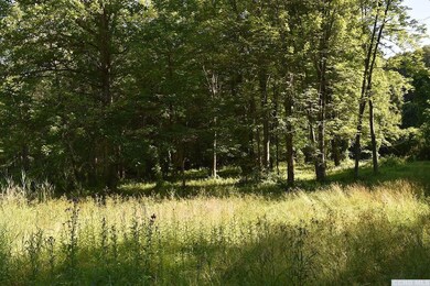 0 Victory Ln Lot 1c unit 127434, Red Hook, NY 12571 - photo 5