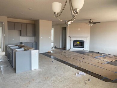 1256 County Road 4797, Boyd, TX 76023 - photo 5