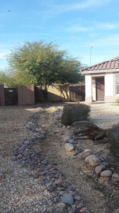 West side front yard