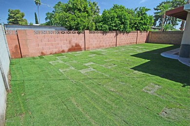 Brand-New Grass Sod Yard for Play!