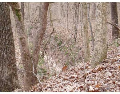 0 Cr 558 unit 652970, Colcord, OK 74338 - photo 3