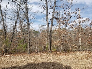 0 Buckden Ln unit 1210435, Bella Vista, AR 72715 - photo 3