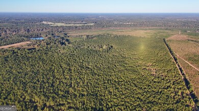 0 Buckeye Rd unit 10650376, East Dublin, GA 31027 - photo 3