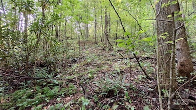 0 Cross Creek Cir, Sylva, NC 28779 - photo 2