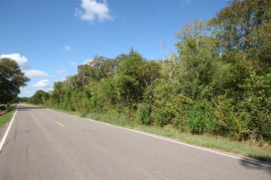 0 County Road 659 unit 75435448, Brazoria, TX 77541 - photo 7