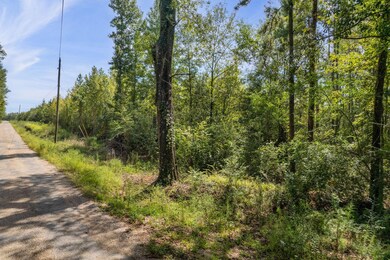 Parcel 4 Dora Barber, Tylertown, MS 39667 - photo 3