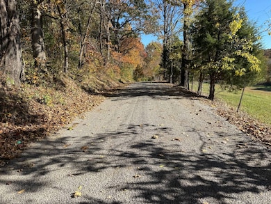 440 Hickstown Rd, Herod, IL 62947 - photo 2