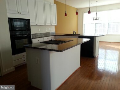 4317 Vintage Ivy Ln, Owings Mills, MD 21117 - photo 2