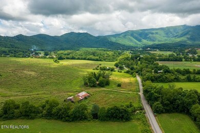 IMG_1480