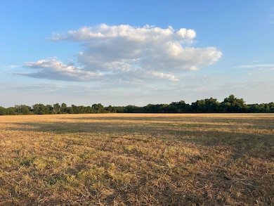 1 Pecan Rd, Troy, TX 76579 - photo 3