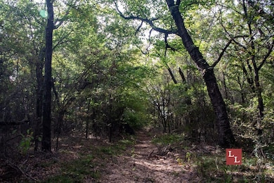 Greasy Bend Rd, Mannsville, OK 73447 - photo 3