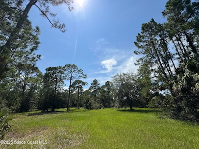 4300 Justa Rd, Mims, FL 32754 - photo 6