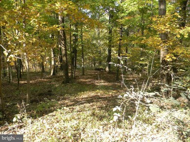 SECTION II Deer Rapids Rd, District 6, VA 22657 - photo 5