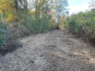 1043 24th St, McComb, MS 39648 - photo 3