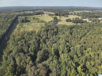 0 New Harmony Rd unit 35 acres +/-, Clanton, AL 35045 - photo 4