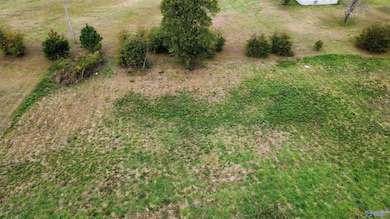 2 Edgewood St, Rainsville, AL 35986 - photo 2