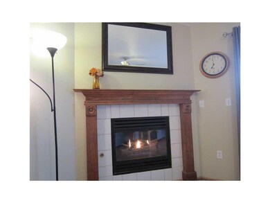 Fireplace.