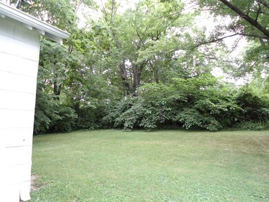 back yard