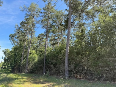 2 +/- Acres Hwy 49, Collins, MS 39428 - photo 2