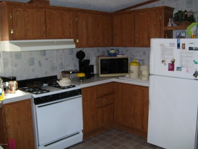 9016 W Railroad Ave, Bitely, MI 49309 - photo 3