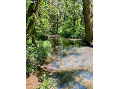 0 S Hult Rd, Beavercreek, OR 97004 - photo 5