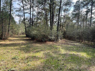 TBD Longbow St, Hockley, TX 77447 - photo 7