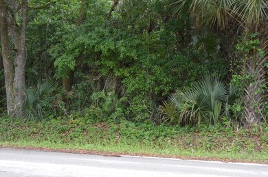 Pepper tree lot
