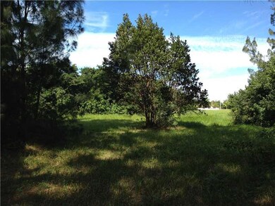 17950 SW 70 Place, Southwest Ranches, FL 33331 - photo 4