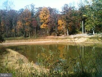 0 Titania unit 1003235734, Gerrardstown, WV 25420 - photo 3