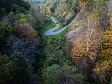 TBD Laurel Creek Trail, Marlinton, WV 24954 - photo 4