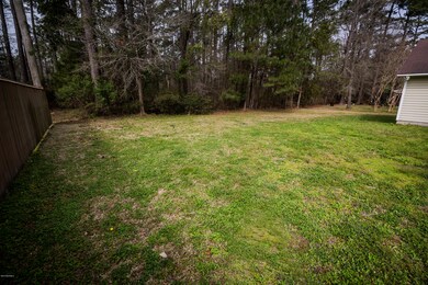 CLR Backyard BD