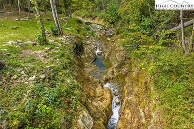 812 Jakes Mountain Rd, Deep Gap, NC 28618 - photo 5