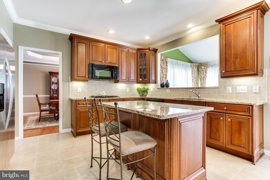 42527 Lewiston Dr, Chantilly, VA 20152 - photo 3