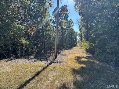 0 N St Francois Rd unit MIS25063814, Bonne Terre, MO 63628 - photo 4