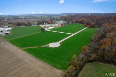 330 Bertha E Dumey Dr, Benton, MO 63736 - photo 3