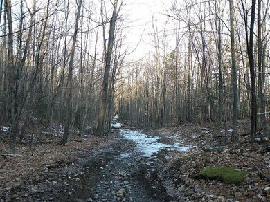0 Weeks Rd, Warren, NH 03279 - photo 3