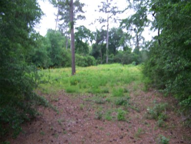 25163 Lakeside Dr, Hockley, TX 77447 - photo 5