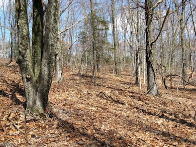 1313 State Route 57, Mansfield Twp., NJ 08865 - photo 6