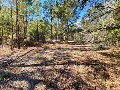 TBD Beavers Rd, Ridgeland, SC 29936 - photo 4