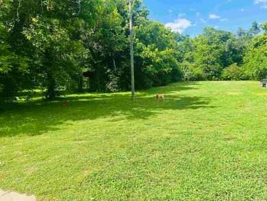 103 Lime St, Leslie, AR 72645 - photo 4