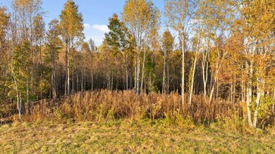 Lot 24 Bravo Way, Talking Rock, GA 30175 - photo 4