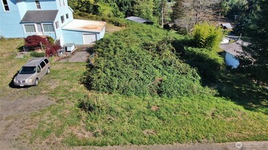 0 x Oregon Ave, South Bend, WA 98586 - photo 2