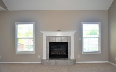 Gas Fireplace in Living Room