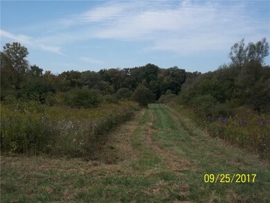 Trail cut down the center of the lot