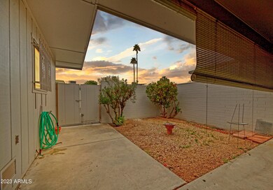 ROM Back Yard and Private Patio