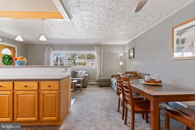 605 Turf Ln, Conshohocken, PA 19428 - photo 7