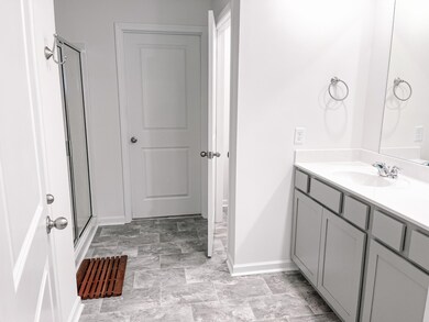 6485 Prickly Loop, Ooltewah, TN 37363 - photo 6