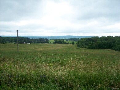 View from McNaulty side of land